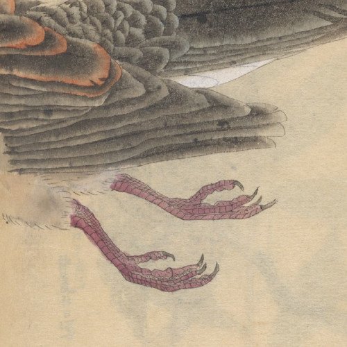 Ilustração mostra a cauda de um pássaro voando e suas patas. Desenho de Ariyoshi Kondo para ilustrar a resenha de Floriano Martins sobre o livro de Bianca Monteiro Garcia.