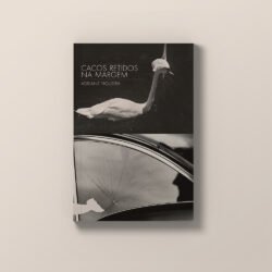 Capa de cacos retidos na margem, livro de Adriane Figueira. Capa por Luísa Machado