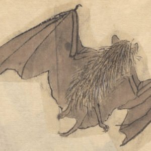Desenho de Ariyoshi Kondo para ilustrar a coluna de Natan Schäfer sobre Sarane Alexandrian. A ilustração mostra um morcego alçando voo.