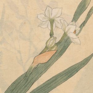 Desenho de Ariyoshi Kondo ilustra os poemas de João Werneck.