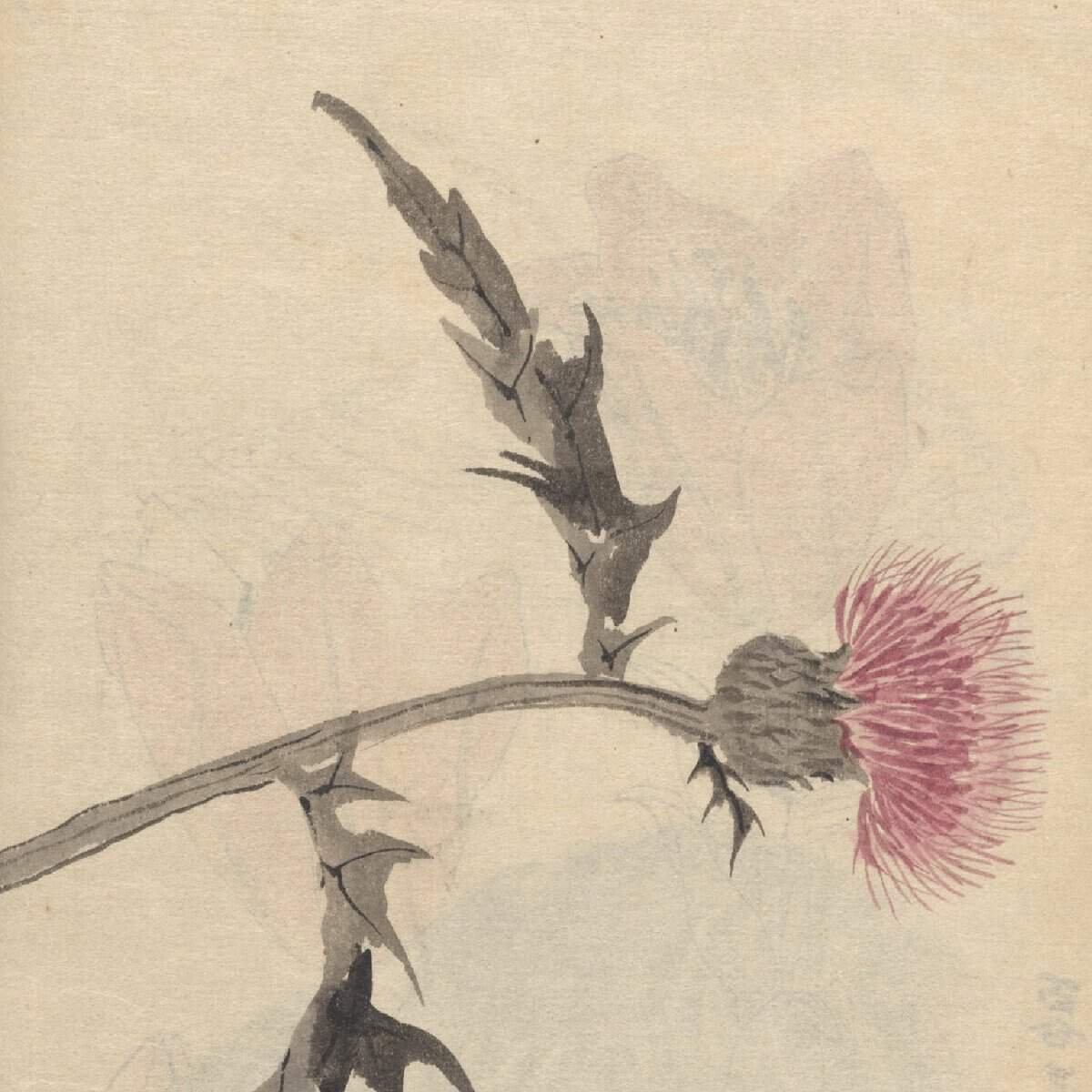 Desenho de Ariyoshi Kondo ilustra os poemas de Leonardo Simões.